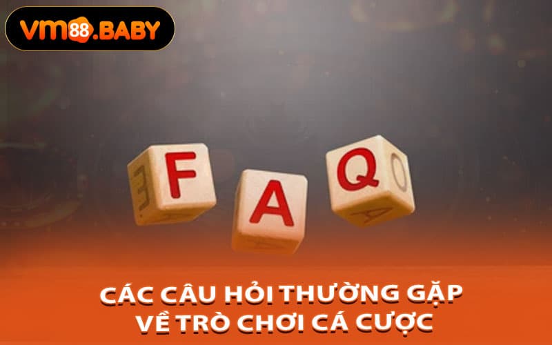 Các Câu Hỏi Thường Gặp Về Trò Chơi Cá Cược
