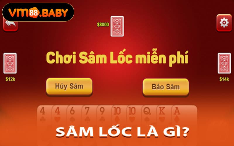 Sâm lốc là gì?
