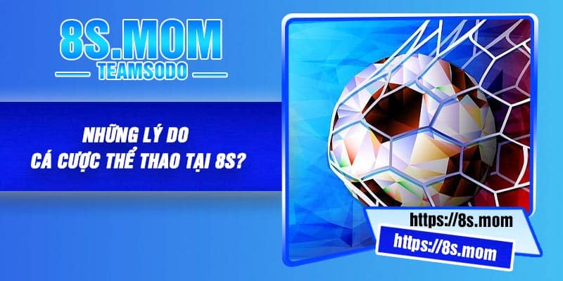Những Lý Do Cá cược Thể Thao Tại 8S?